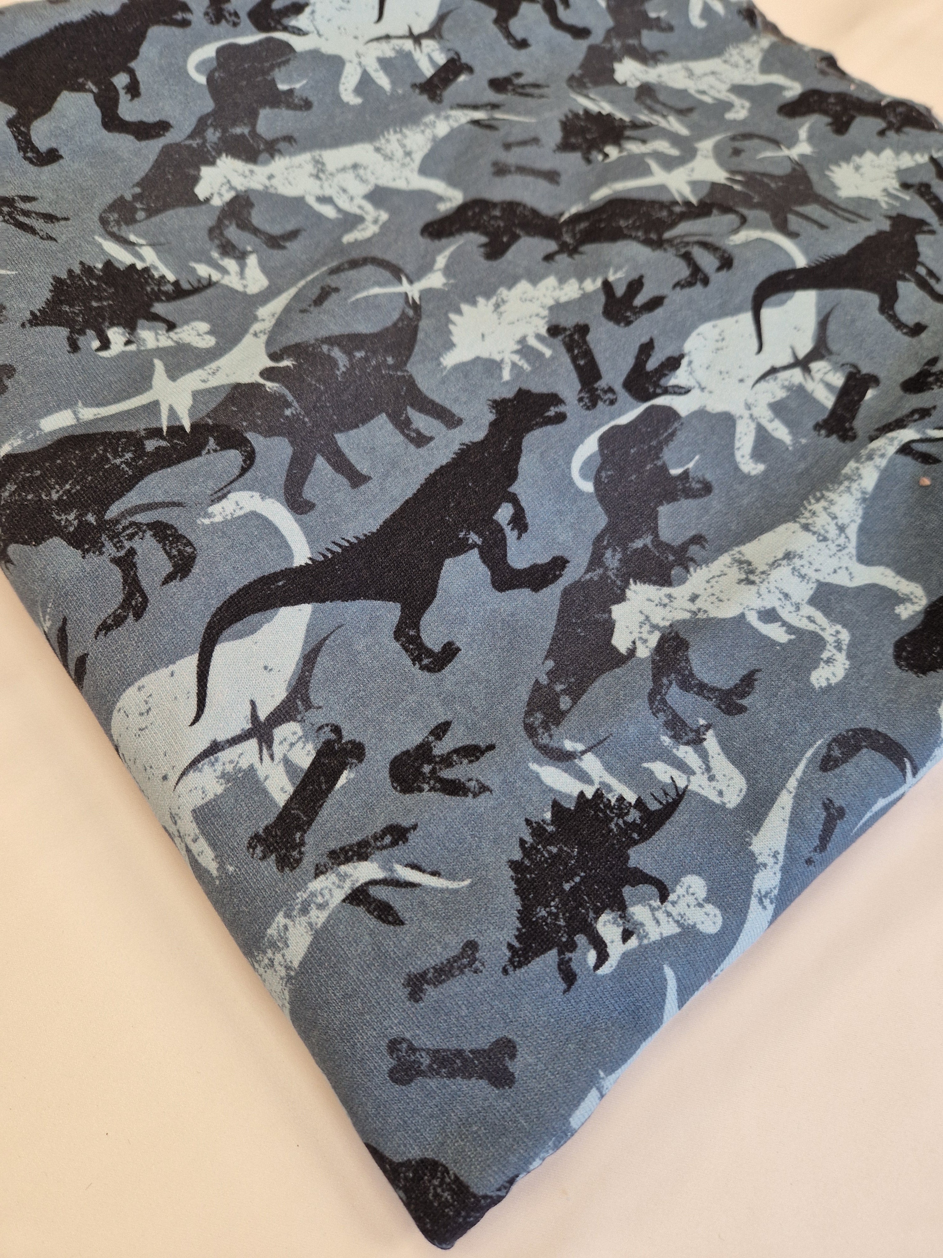 Coupon Sweat imprimé dinosaures